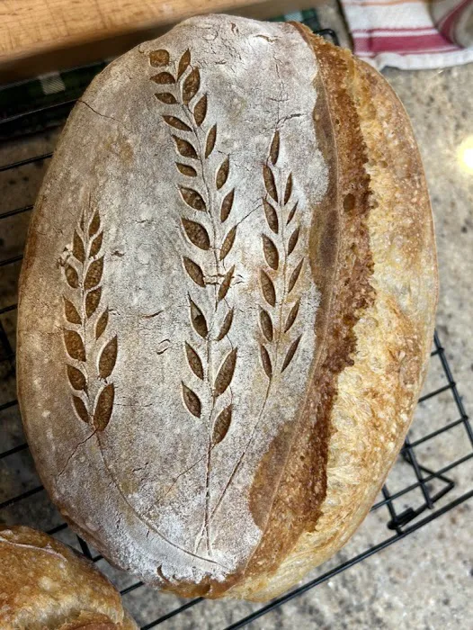 Newton Kneads Sourdough Co Picture 3