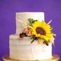 Frederick's Pastries ico