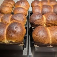 Harris Hearth Breads ico