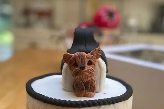 Bake Believe Cakes LLC