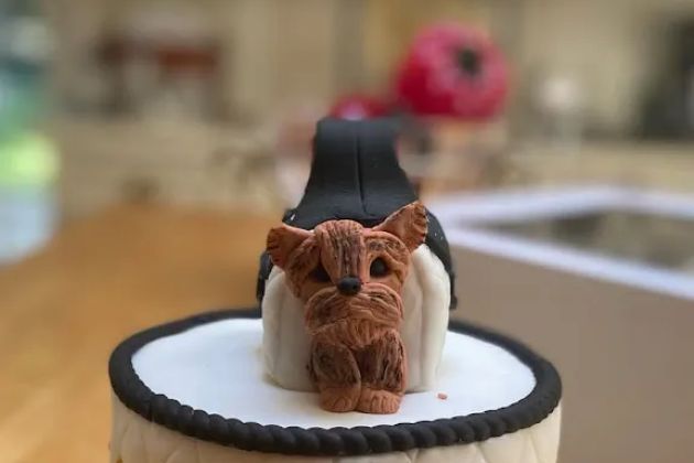 Bake Believe Cakes LLC