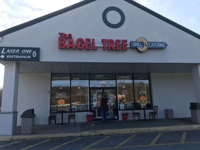 The Bagel Tree North Picture 4