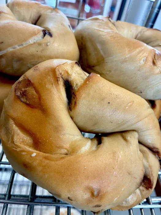 Pine Island Bagel Picture 5