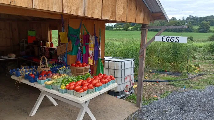 Miller Family Amish bakery Picture 10