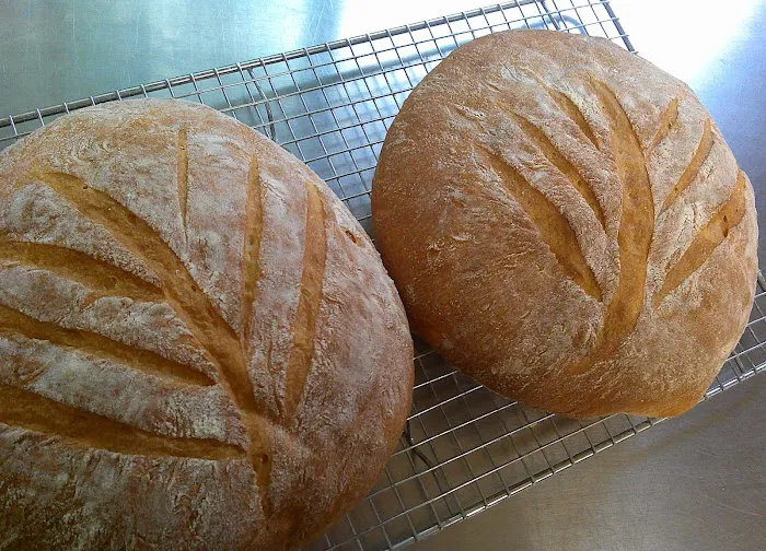 Grandview Gourmet Picture 2