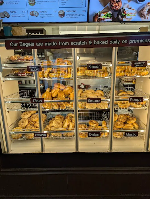 Bagel Cafe Picture 8