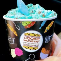The Cookie Monstah ico