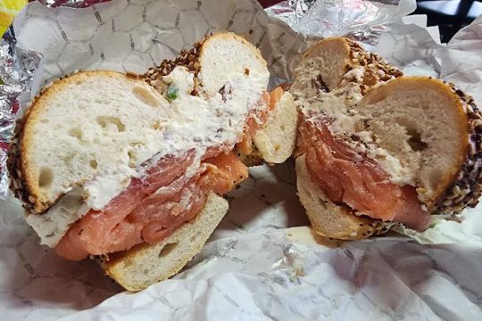 The Bagel Factory