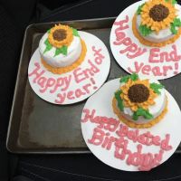 Carson' Custom Creative Cakes ico