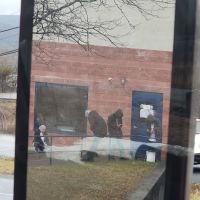 Pride Gourmet Bakers ico