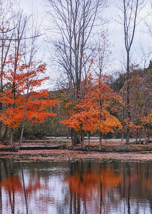 Shannon’s Eyes on the Pies Picture 8