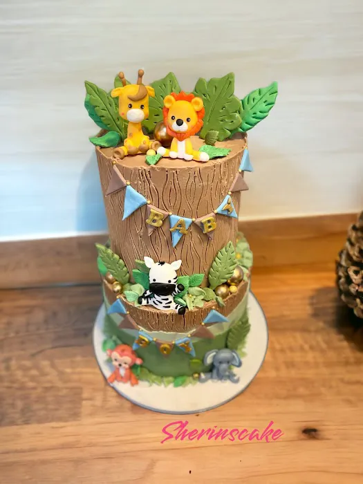 Sherin’s Cake Picture 2