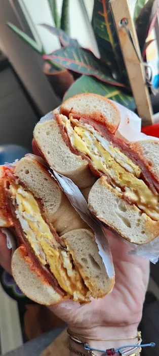 The Bagel Shop Picture 4