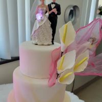 Tilcake Sweet Bakery ico