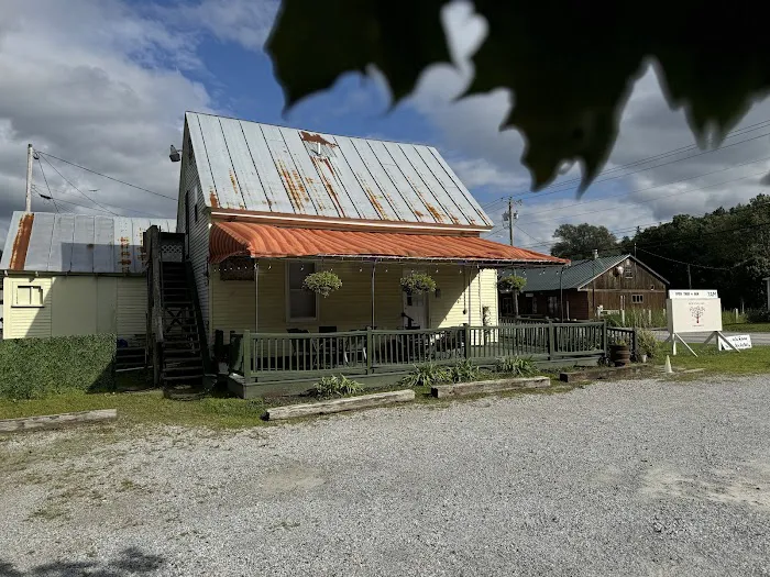 New England Cider Donuts Picture 1