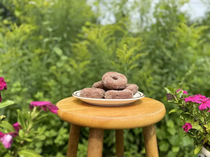 New England Cider Donuts Picture 3
