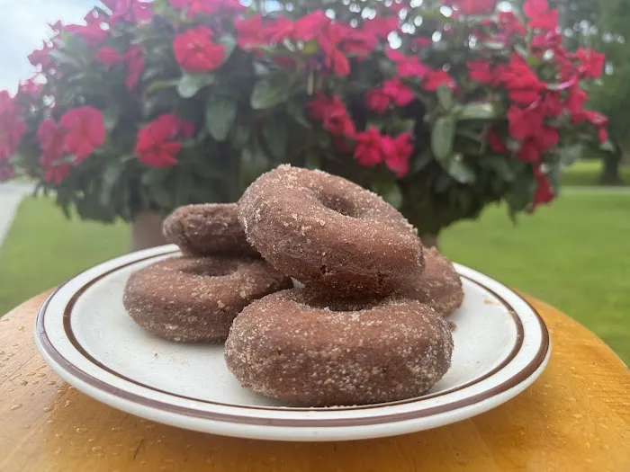 New England Cider Donuts Picture 9