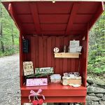 Cherry Hill Market