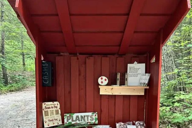 Cherry Hill Market