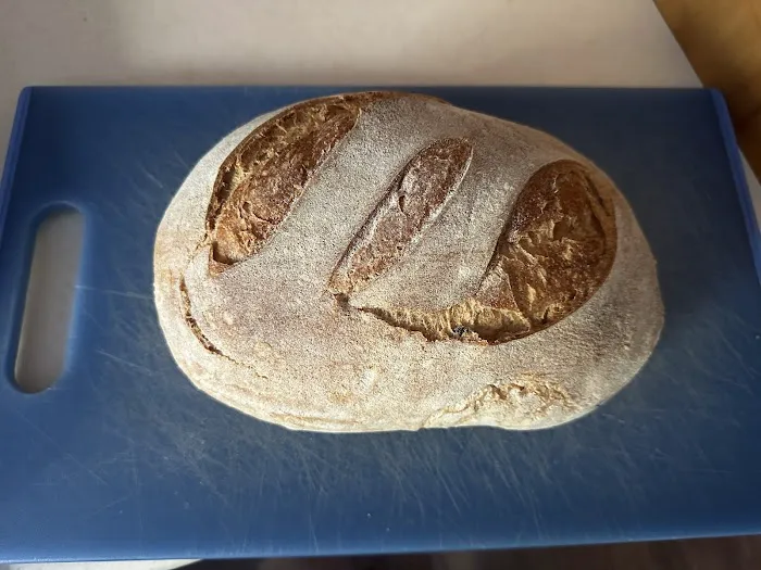 The Purple Carrot Bread Company Picture 5