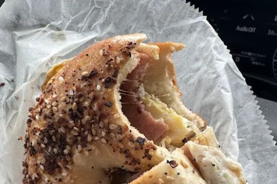 The Bagel Experience