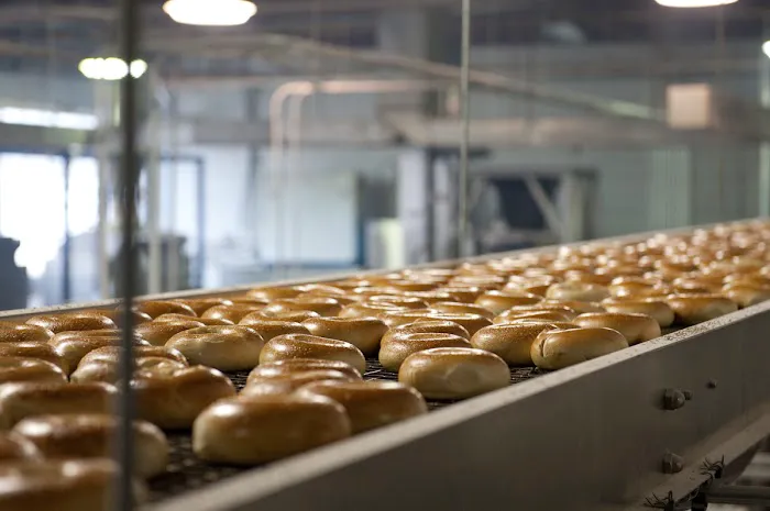 Original Bagel Company Picture 8