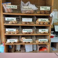 Anthony's Bagel Brunch ico