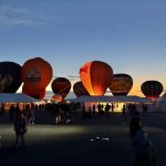 Dickinson's Delights