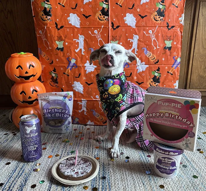 Lazy Dog Cookie Co Picture 2