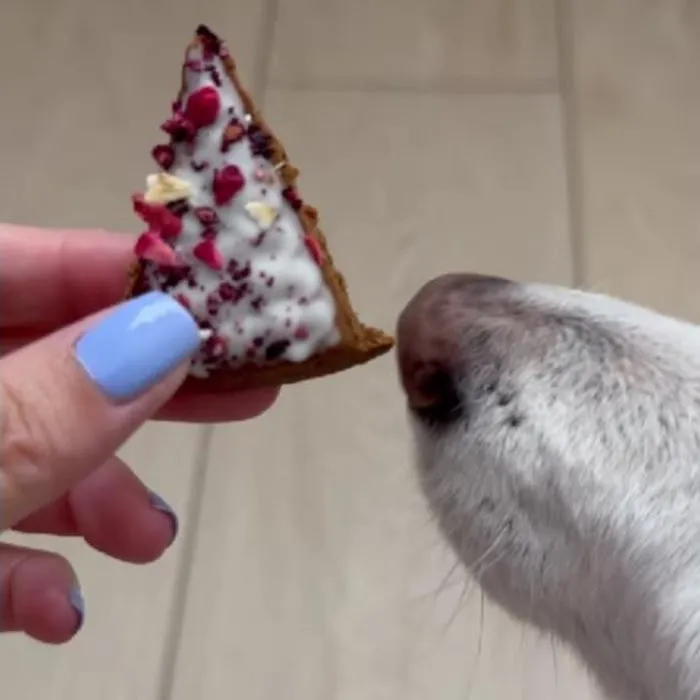 Lazy Dog Cookie Co Picture 3