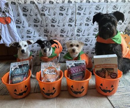 Lazy Dog Cookie Co