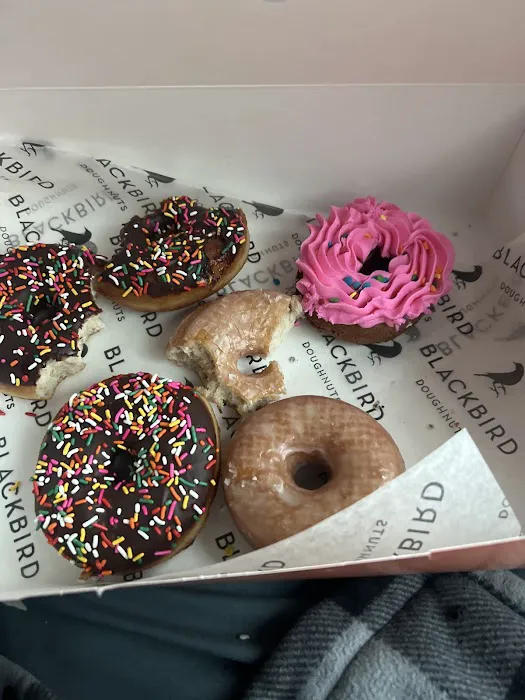 Blackbird Doughnuts / Sally's Sandwiches - South End Picture 7