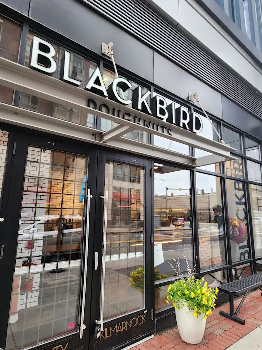 Blackbird Doughnuts Fenway Picture 1