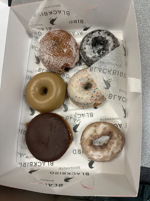 Blackbird Doughnuts Fenway Picture 5