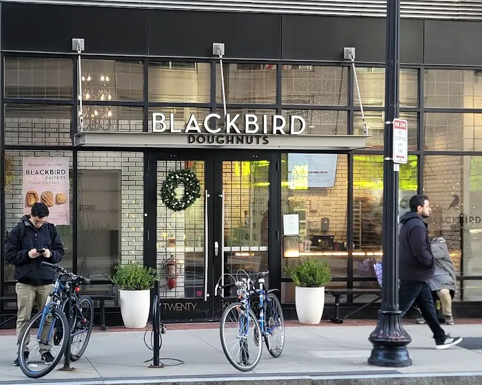 Blackbird Doughnuts Fenway Picture 6