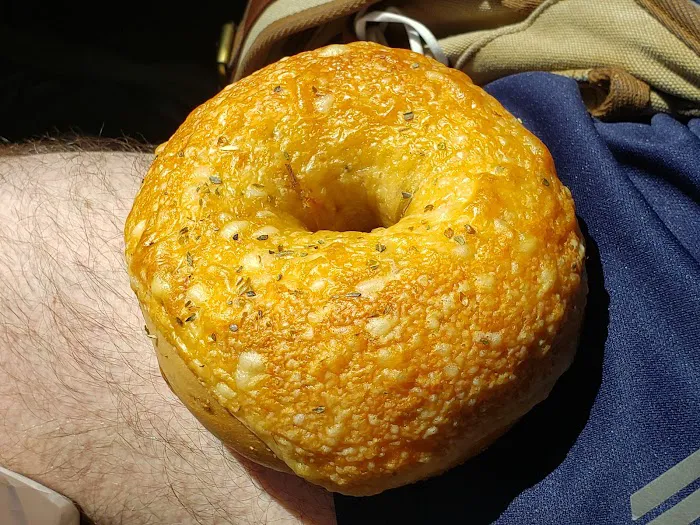 House of Bagels Picture 7