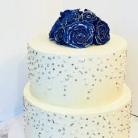 Frostininboston ico