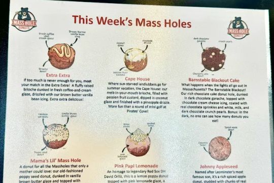 Mass Hole Donuts