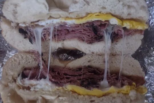 Mt. Olive Bagels