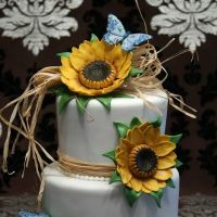 Kimmy's Kakes ico