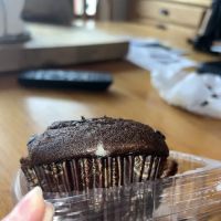 Gabe's Bagels ico