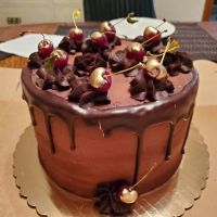 Bloom Cakes & Bakery ico