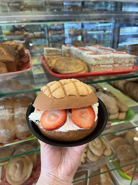 El olivo Bakery Picture 10