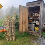 Fallen Tree Farm