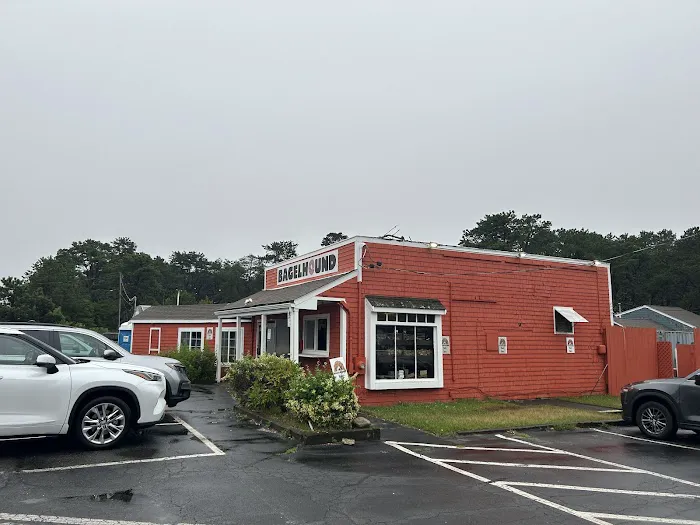 Bagel Hound Wellfleet Picture 9