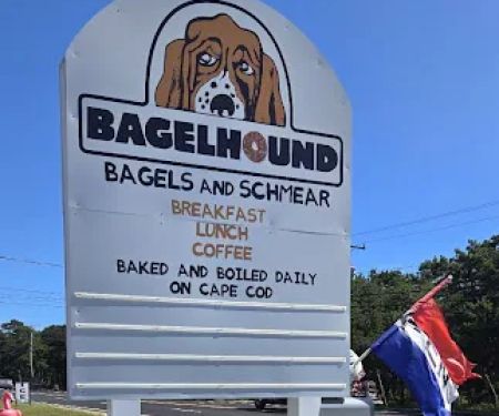 Bagel Hound Wellfleet