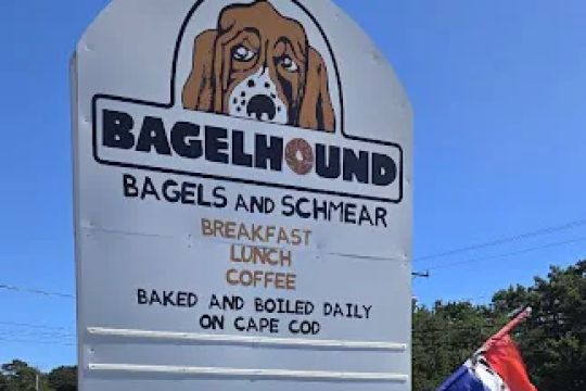 Bagel Hound Wellfleet
