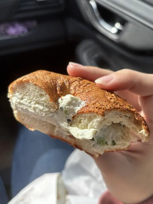 Bagel Hound Wellfleet Picture 3