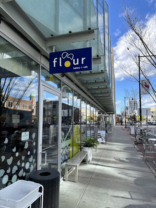 Flour Bakery + Cafe Picture 2