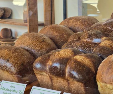 Hi-Rise Bread Company